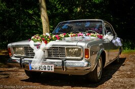 _B254062 null