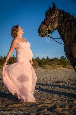 DSD_3726